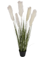 Il vaso per erba artificiale in tessuto di canna e cipolla da 120 cm ignifugo ha alte foglie verdi simili a erba e soffici pennacchi bianchi di pampa in un vaso nero, su un semplice sfondo bianco.