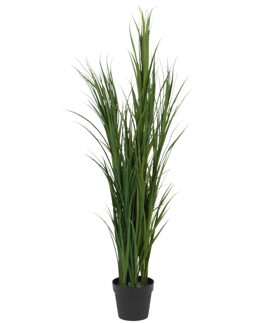 L'erba artificiale verde UV 150 cm è una pianta alta di erba artificiale con foglie verdi lunghe e sottili in un piccolo vaso nero, raffigurata su un semplice sfondo bianco.