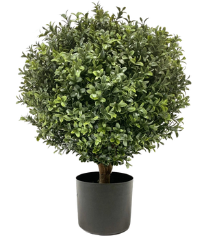 Il Buxus artificiale su stelo UV 40 cm ha una forma rotonda, verde cespugliosa con foglie dense in un semplice vaso nero, su uno sfondo bianco a tinta unita.