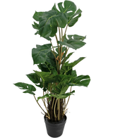 La pianta artificiale Monstera 90 cm è una pianta artificiale con grandi foglie verdi lucide con spaccature naturali, disposte verticalmente in un vaso nero su uno sfondo bianco a tinta unita.