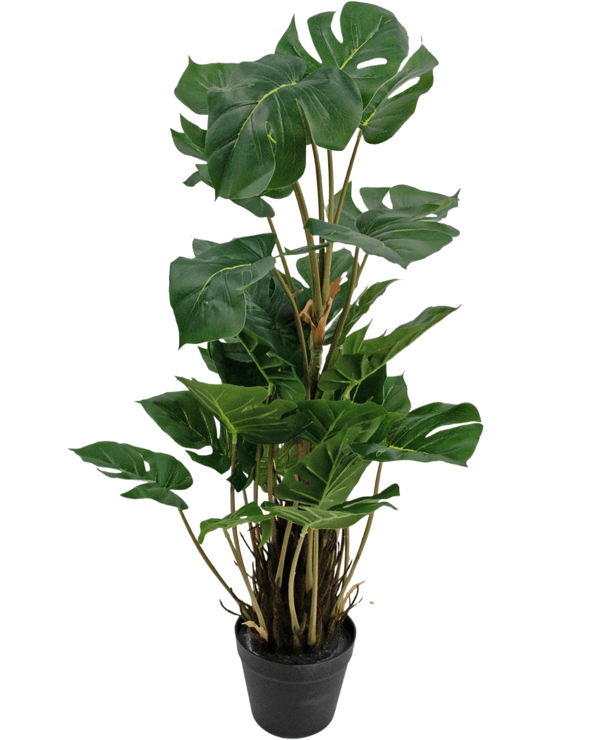 La pianta artificiale Monstera 90 cm è una pianta artificiale con grandi foglie verdi lucide con spaccature naturali, disposte verticalmente in un vaso nero su uno sfondo bianco a tinta unita.