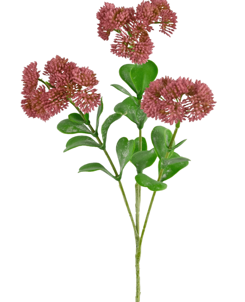 Un ramo di Sedum artificiale di 56 cm di colore rosa con foglie verdi e mazzi di piccoli fiori rotondi e sottili di colore rosa-rosso su sfondo bianco.