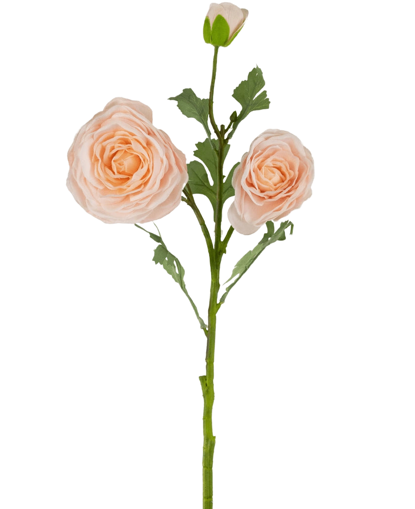 La rosa artificiale "Emine" Real Touch Peach 62 cm ha un unico stelo verde con due grandi rose artificiali color pesca chiaro in piena fioritura più un bocciolo di rosa, il tutto su un semplice sfondo bianco.