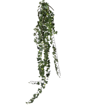 Un unico filo di edera artificiale pensile ignifuga di 125 cm con foglie verde scuro a forma di cuore pende su uno sfondo bianco semplice.