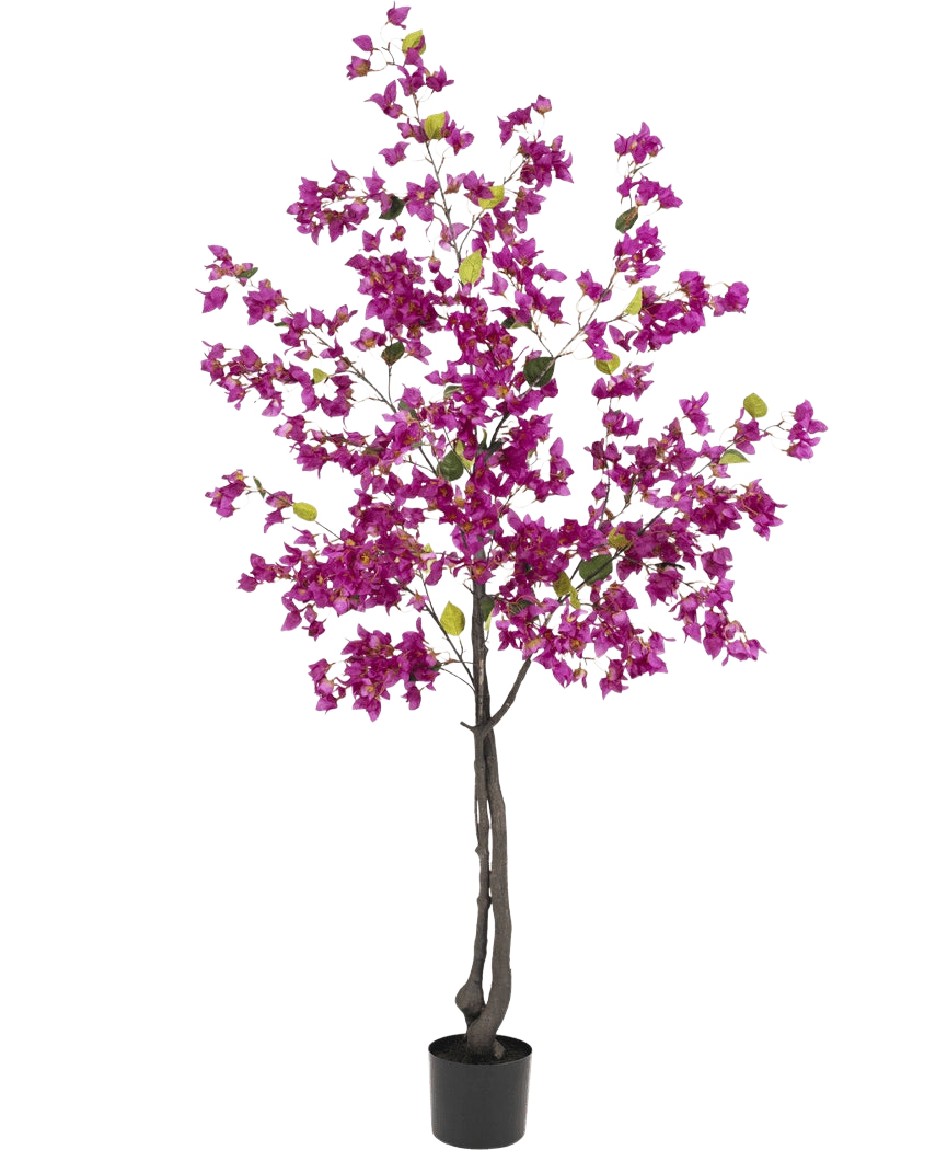 La bouganville artificiale viola da 180 cm ha rami scuri, vivaci fiori viola e foglie verdi in un vaso nero: perfetta come pianta artificiale colorata per il tuo soggiorno.