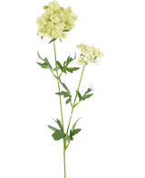 Il fiore artificiale Lace Flower 76 cm bianco è un singolo stelo artificiale con mazzi di piccoli fiori bianco-verdi chiari e foglie verdi seghettate e profondamente lobate, su uno sfondo bianco semplice.
