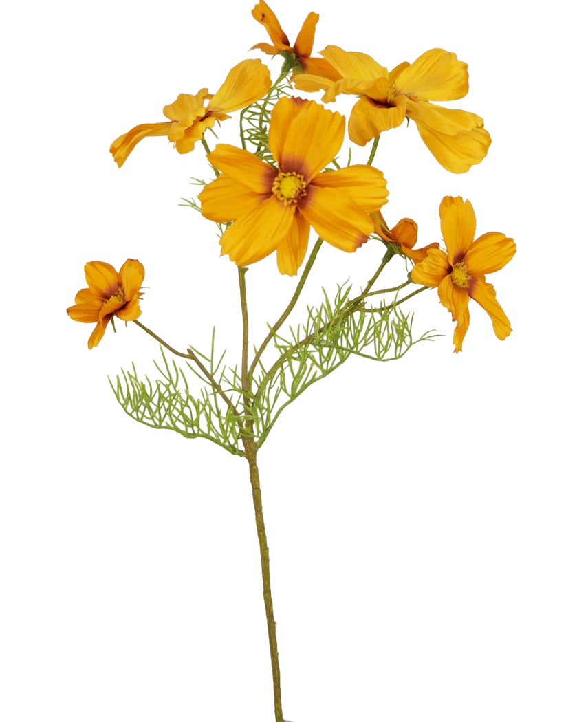 Il fiore artificiale Cosmos arancione da 74 cm è caratterizzato da molteplici fiori arancioni vivaci e delicate foglie verdi, che aggiungono un vivace tocco floreale artificiale a qualsiasi spazio: perfetto per la decorazione floreale della casa, soprattutto su uno sfondo bianco.