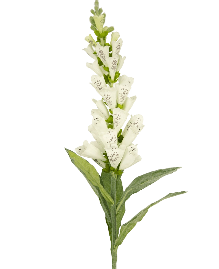 Il fiore artificiale digitale digitale 90 cm bianco ha foglie verdi e fiori tubolari maculati bianchi - ideale per decorazioni di lusso o come accento sorprendente in un bouquet di fiori artificiali.