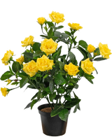La pianta artificiale Mini Rose UV 35 cm gialla è una pianta artificiale in vaso con steli multipli di vivaci rose gialle e foglie verdi, esposta in un piccolo contenitore nero su uno sfondo semplice.