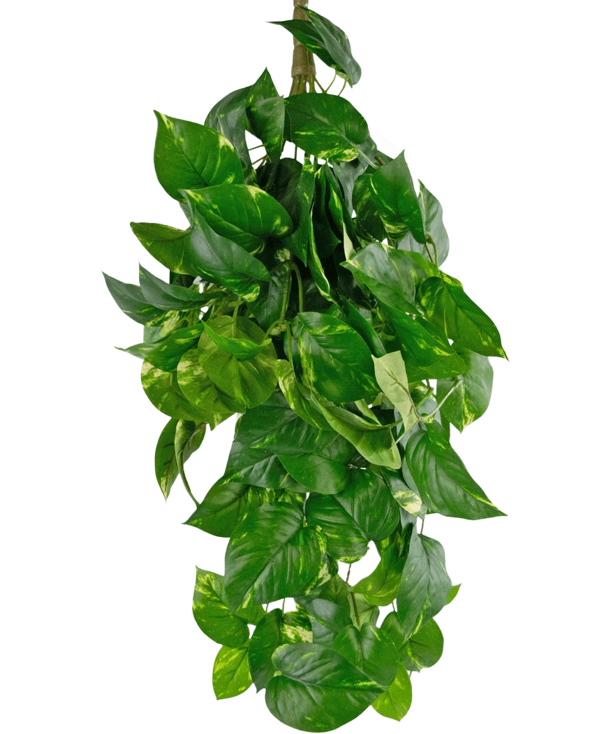La pianta artificiale sospesa Golden Vine Deluxe da 80 cm ha foglie verde vibrante a forma di cuore che cadono per formare un'immagine rigogliosa su un semplice sfondo bianco.