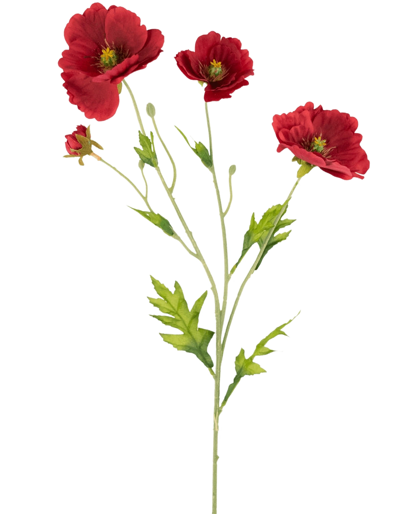Il papavero artificiale Real Touch Rosso da 65 cm ha un unico stelo con tre vivaci papaveri rossi e foglie verdi, splendidamente visualizzati su un semplice sfondo bianco.