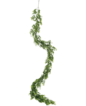 La pianta rampicante artificiale Pumila 182 cm ha una vite verde lunga e sinuosa con foglie piccole, che pende verticalmente su uno sfondo bianco semplice.