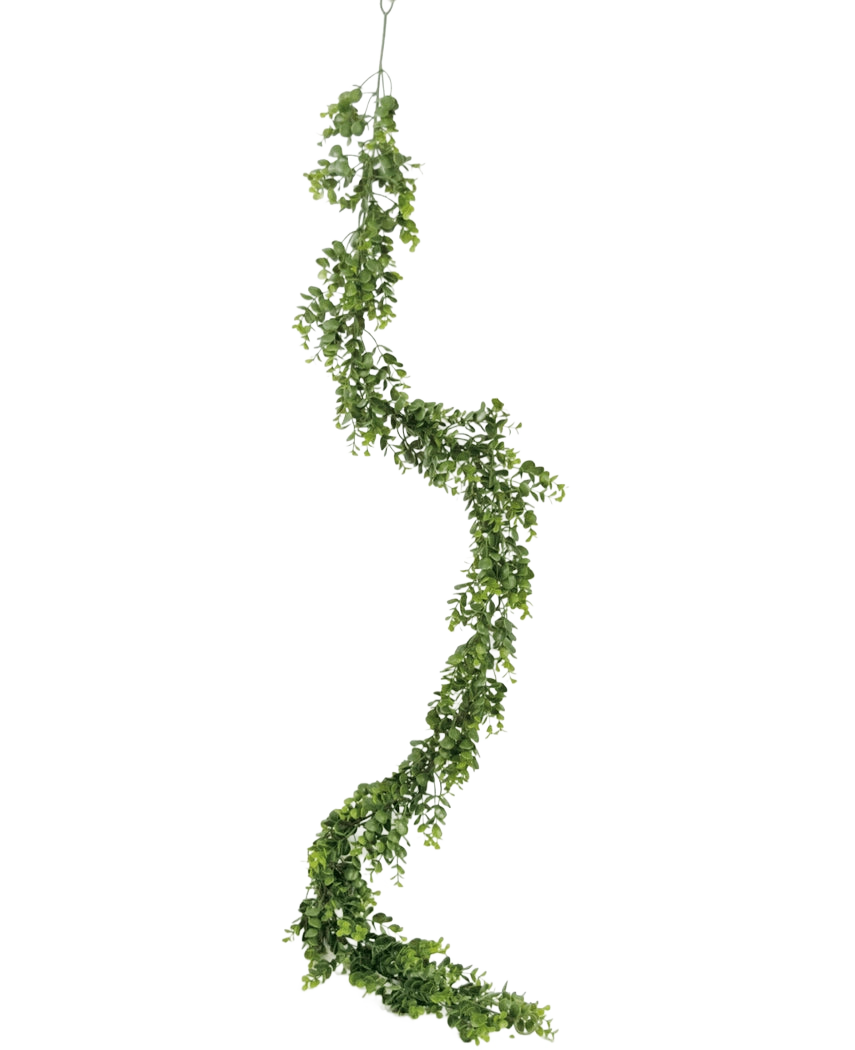 La pianta rampicante artificiale Pumila 182 cm ha una vite verde lunga e sinuosa con foglie piccole, che pende verticalmente su uno sfondo bianco semplice.