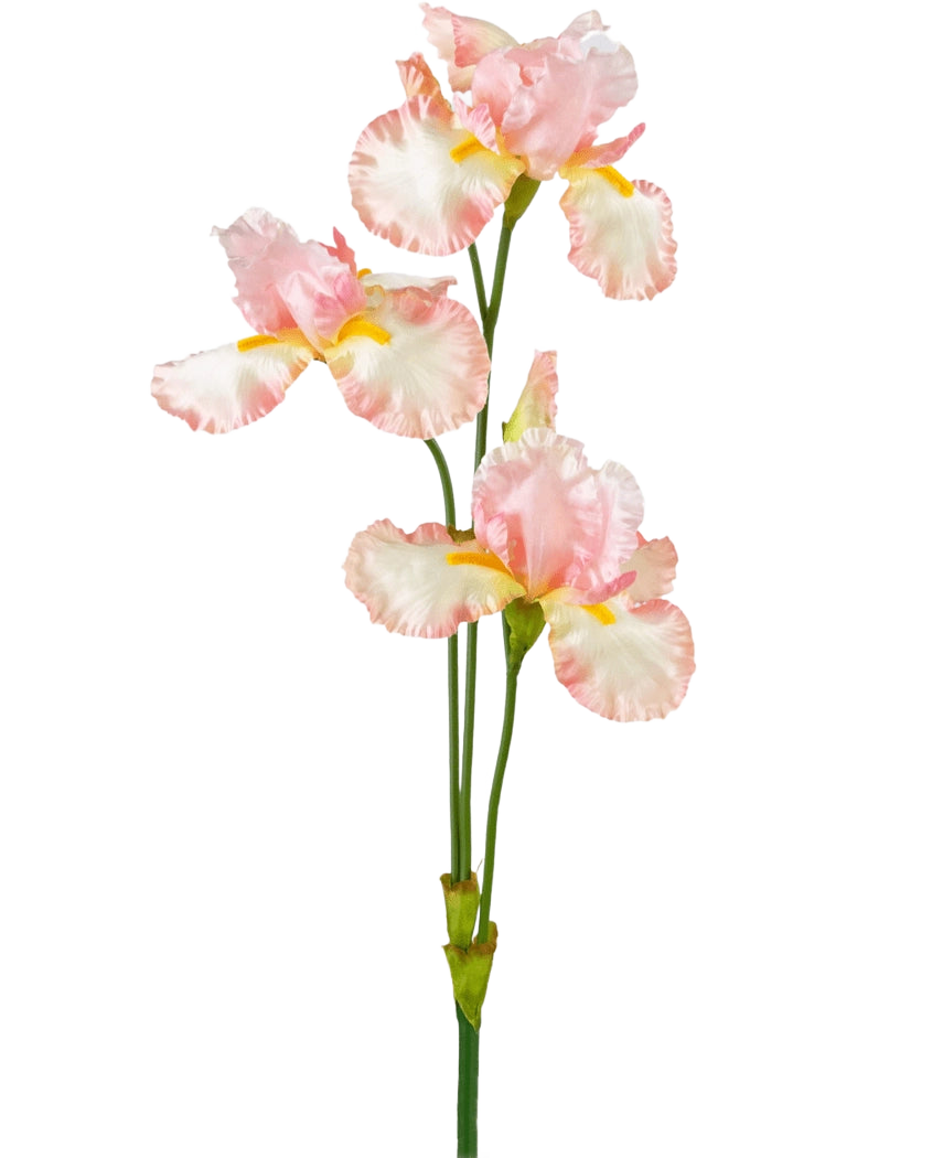 Un fiore di iris artificiale di 102 cm rosa chiaro ha diverse delicate volant rosa chiaro e bianche con accenti gialli su uno sfondo bianco semplice.
