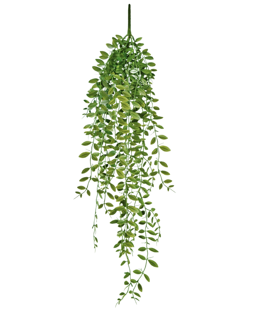 La pianta succulenta artificiale pensile da 76 cm ha foglie verdi e steli sottili su uno sfondo bianco semplice.