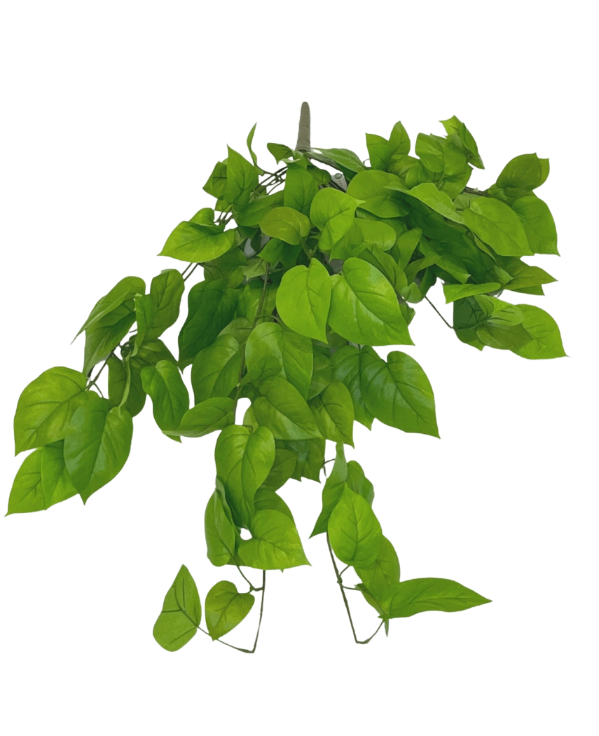 L'arbusto artificiale Pothos Deluxe da 90 cm ha foglie verdi vivaci a forma di cuore su steli sottili, su uno sfondo bianco semplice.