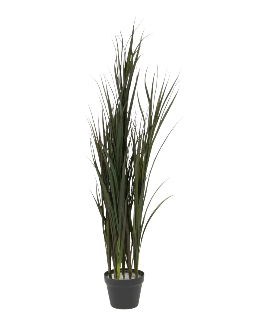 L'erba artificiale Bordeaux UV 120 cm è una pianta di erba artificiale alta con sottili fili verdi in un semplice vaso nero, su uno sfondo bianco.