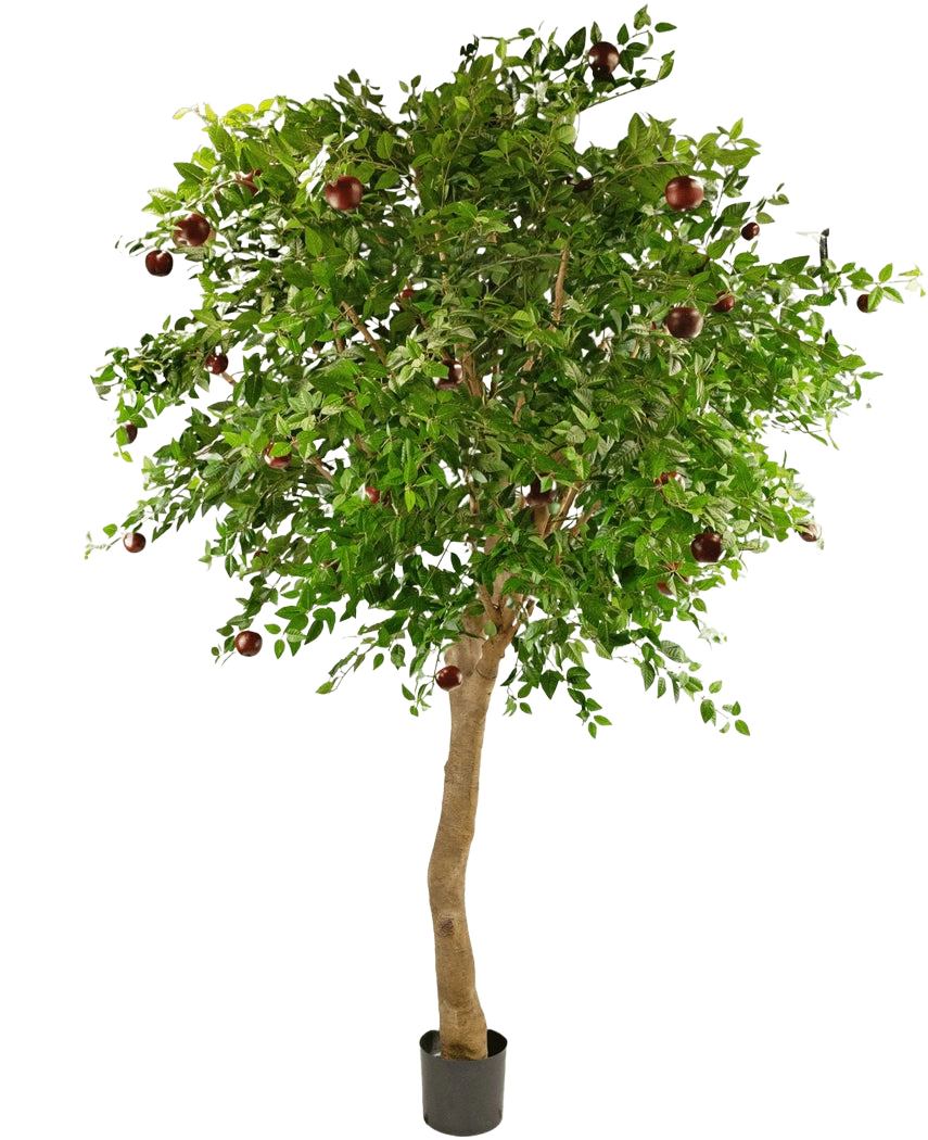 Il melo artificiale da 240 cm è un alto albero in vaso con un tronco spesso, foglie verdi dense e diverse mele rosse sui rami su uno sfondo bianco semplice.