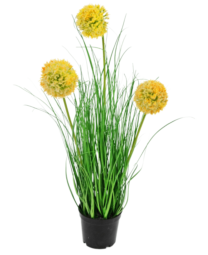 L'erba artificiale cipolla ignifuga da 50 cm ha foglie verdi lunghe e sottili e tre fiori rotondi e soffici gialli su steli alti, che aggiungono fascino verde al giardino su un semplice sfondo bianco.