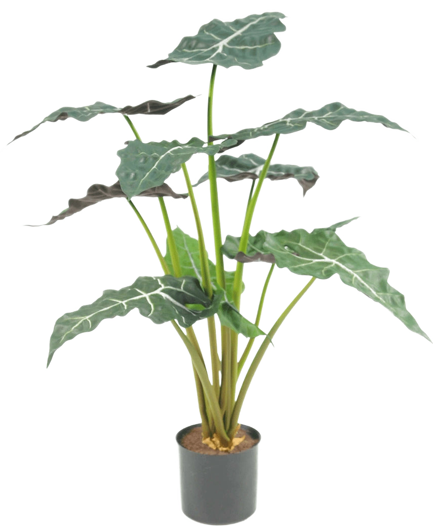 La pianta artificiale Alocasia UV 67 cm è una pianta artificiale in vaso con grandi foglie verde scuro a forma di freccia e sorprendenti venature bianche, raffigurate su un semplice sfondo bianco.
