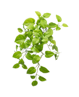 L'arbusto artificiale di Pothos Deluxe da 60 cm ha foglie ovali di un verde vibrante su steli finali, che ricordano una pianta di Pothos, elegantemente esposte su un semplice sfondo bianco.