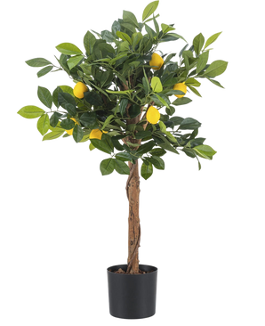 L'albero di limone artificiale da 75 cm è un piccolo albero di limone artificiale con tronco marrone, foglie verdi e diversi limoni finti gialli su uno sfondo bianco.