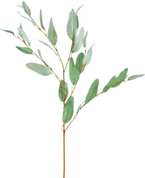 Il Ramo Artificiale Eucalipto 86 cm verde ha un unico ramo decorativo di eucalipto con sottili foglie di seta verde e sottili steli marroni, isolato su fondo bianco.