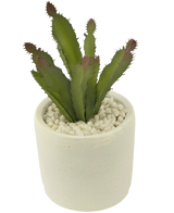 La pianta succulenta artificiale da 20 cm è una pianta succulenta verde appuntita con punte rossastre in un vaso di ceramica bianca pieno di ciottoli bianchi, raffigurata su un semplice sfondo bianco.