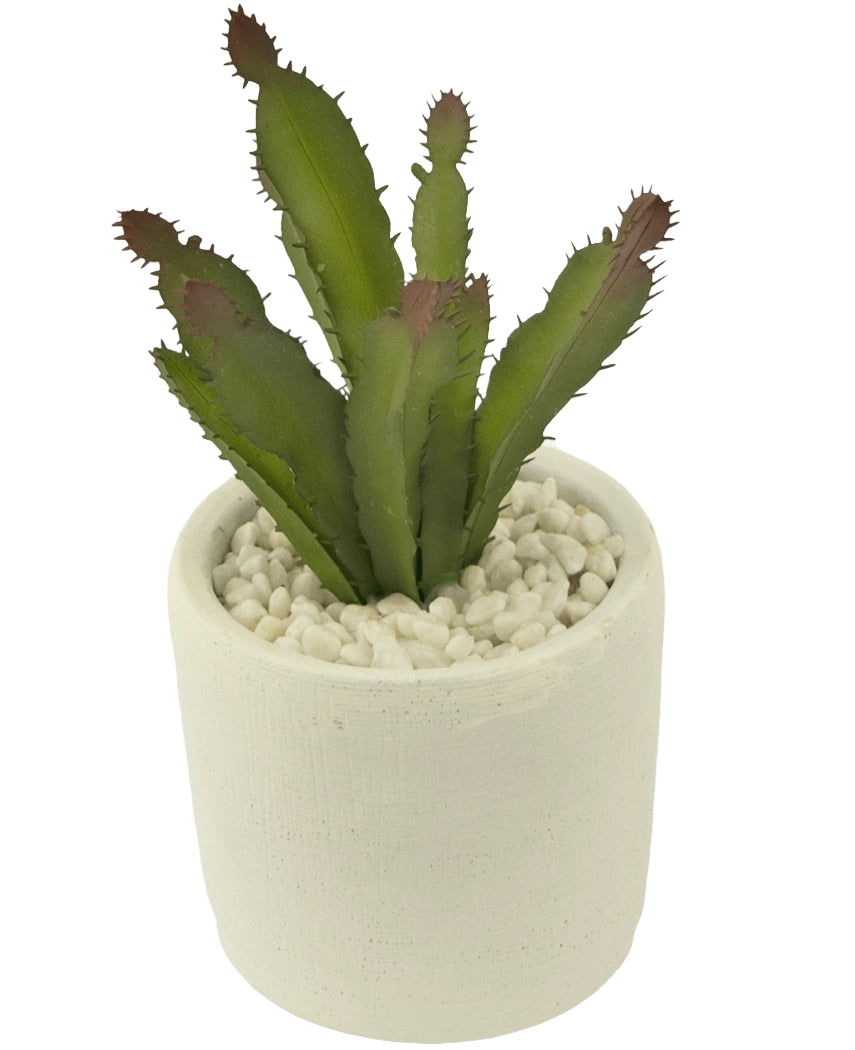 La pianta succulenta artificiale da 20 cm è una pianta succulenta verde appuntita con punte rossastre in un vaso di ceramica bianca pieno di ciottoli bianchi, raffigurata su un semplice sfondo bianco.