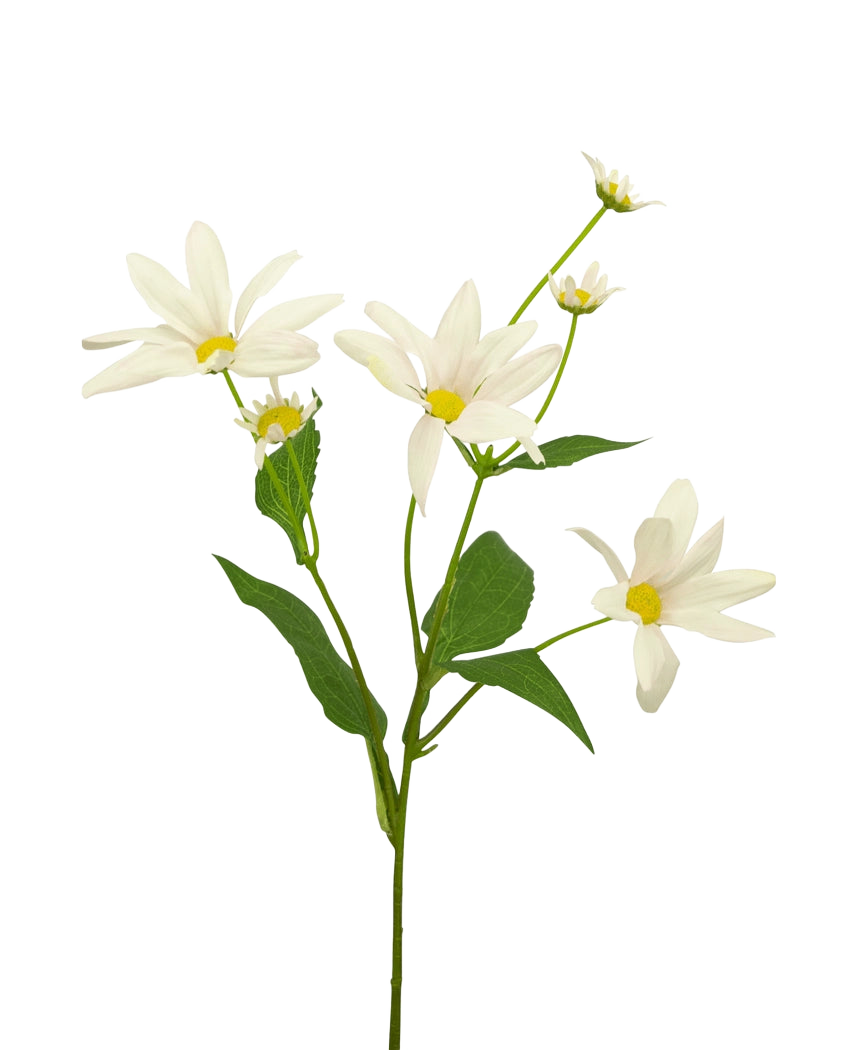 Il fiore artificiale Margriet 60 cm bianco/rosa ha diversi fiori bianchi e rosa simili a margherite con un cuore giallo, integrati con foglie e boccioli verdi, su uno sfondo chiaro.