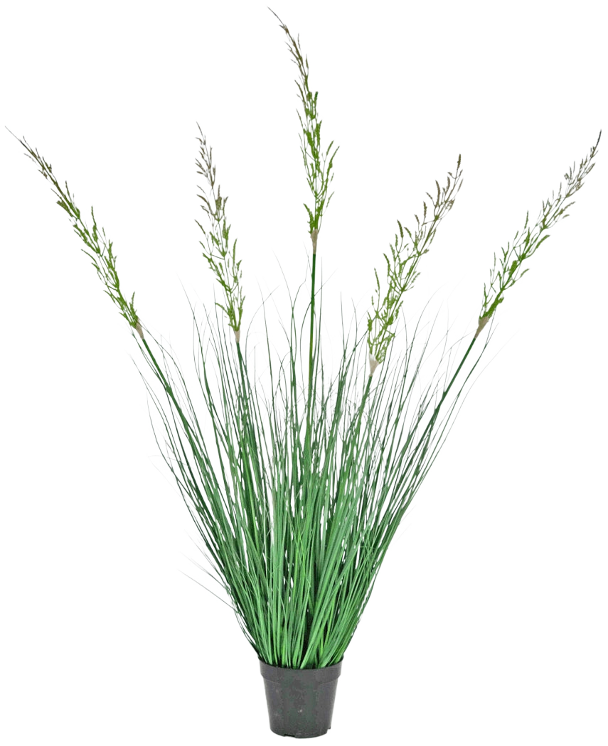 L'erba artificiale pianta di grano 120 cm ignifuga in vaso ha foglie alte ed erette e steli fioriti, che la rendono ideale per interni verdi. Questa pianta che non richiede manutenzione aggiunge una vegetazione elegante su uno sfondo bianco.
