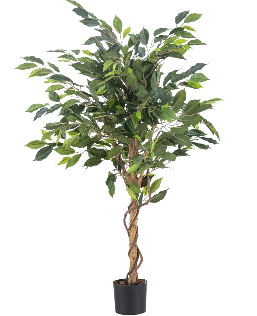 La pianta artificiale Ficus Green 120 cm ha foglie verdi e uno stelo ritorto, in un piccolo vaso nero su sfondo bianco a tinta unita.