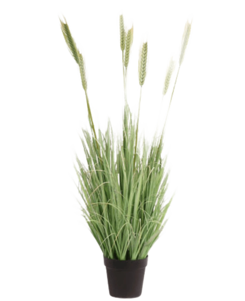 La pianta di erba artificiale verde ignifuga da 130 cm ha foglie verdi lunghe e sottili e steli lunghi simili a grano in un piccolo vaso nero, su uno sfondo bianco.