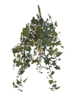L'edera artificiale Deluxe verde-bianca da 60 cm è una pianta di edera artificiale pendente con foglie variegate verdi e bianche a cascata, su uno sfondo bianco semplice.