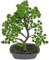 La pianta artificiale bonsai ginepro da 30 cm ha foglie dense di colore verde brillante e un tronco contorto, in un vaso grigio poco profondo con terreno scuro, su uno sfondo bianco semplice.