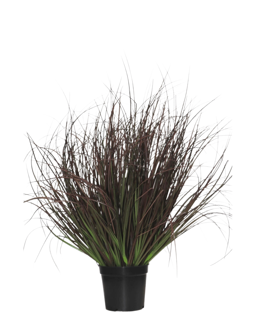 Il prato per piante in erba artificiale ignifugo da 50 cm viene fornito in un vaso di plastica nera, con erba ornamentale appuntita con foglie lunghe e sottili, viola scuro e verdi - perfette per la decorazione d'interni - su uno sfondo bianco.