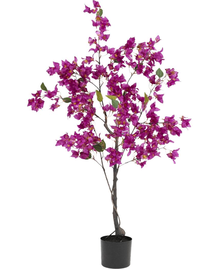La Bougainvillea artificiale viola da 125 cm ha vivaci fiori viola e foglie verdi rigogliose su diversi rami, che la rendono una pianta artificiale colorata, ideale per illuminare qualsiasi spazio interno.