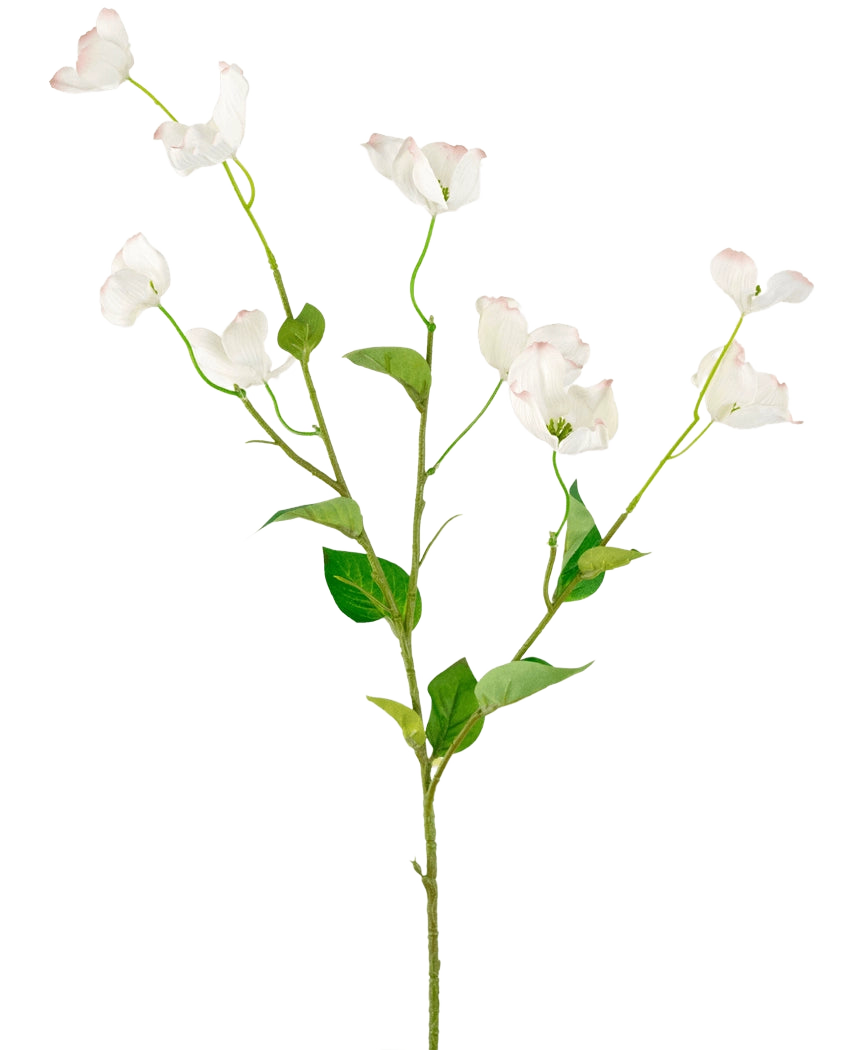 Il corniolo artificiale Real Touch White da 74 cm ha un unico stelo alto con rami multipli di delicati fiori bianchi e foglie verdi, su uno sfondo chiaro e semplice.