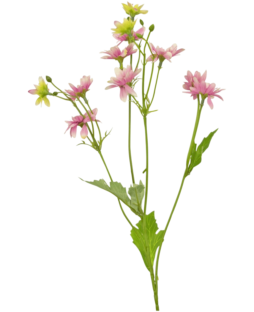 Il fiore artificiale Madelief rosa da 55 cm è un fiore artificiale con un unico stelo verde con diversi rami, ciascuno decorato con delicati fiori rosa e bianchi simili a margherite e foglie verdi seghettate, raffigurati su uno sfondo bianco.