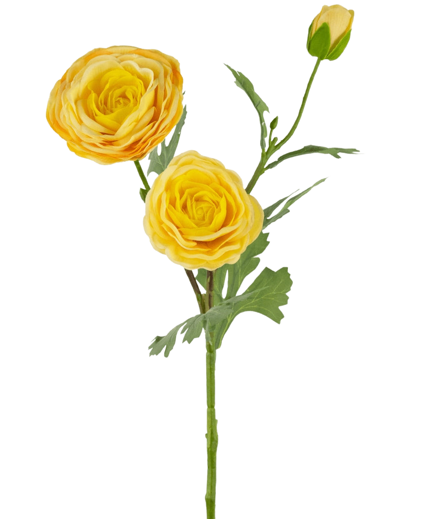 La rosa artificiale "Emine" Real Touch Yellow 62 cm ha un gambo singolo con due fiori gialli che sbocciano e un bocciolo chiuso, accentuato da foglie verdi, su uno sfondo bianco.