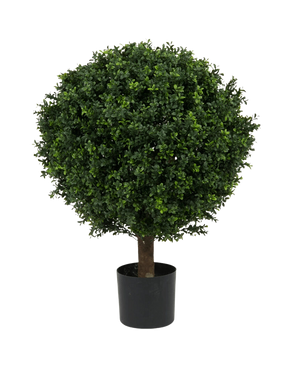 Il bosso artificiale su stelo in stile romano UV 85 cm è un albero artificiale rotondo, frondoso, verde con fogliame denso e un unico tronco, in un semplice vaso nero su uno sfondo bianco semplice.