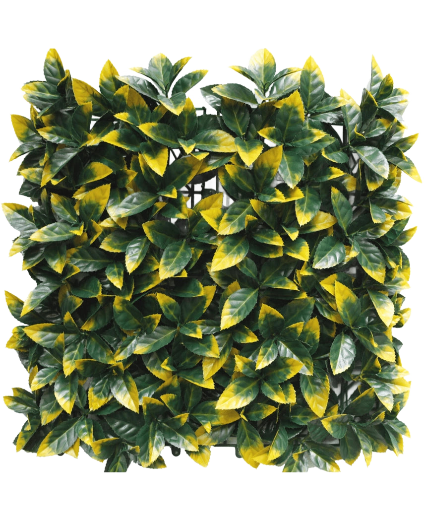 La siepe artificiale Photonia gialla 50x50 cm UV è composta da fitti pannelli quadrati di foglie artificiali variegate di colore verde e giallo per un aspetto rigoglioso e vivace. Lo strato raster è parzialmente visibile dietro il fogliame per una facile installazione.