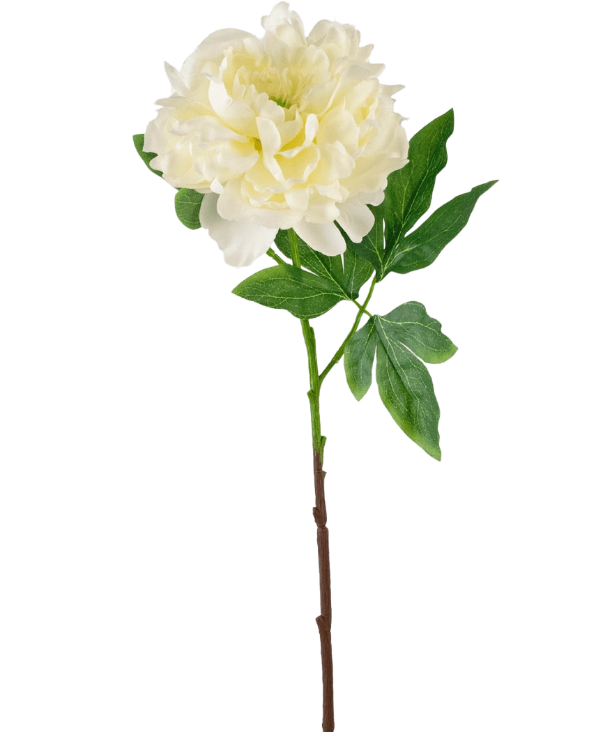 Il fiore artificiale peonia bianca da 61 cm è una peonia bianca artificiale con petali stratificati e foglie verdi su un lungo stelo marrone, raffigurata su un semplice sfondo bianco.