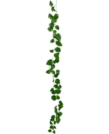 Ghirlanda di vite dorata artificiale 180 cm
