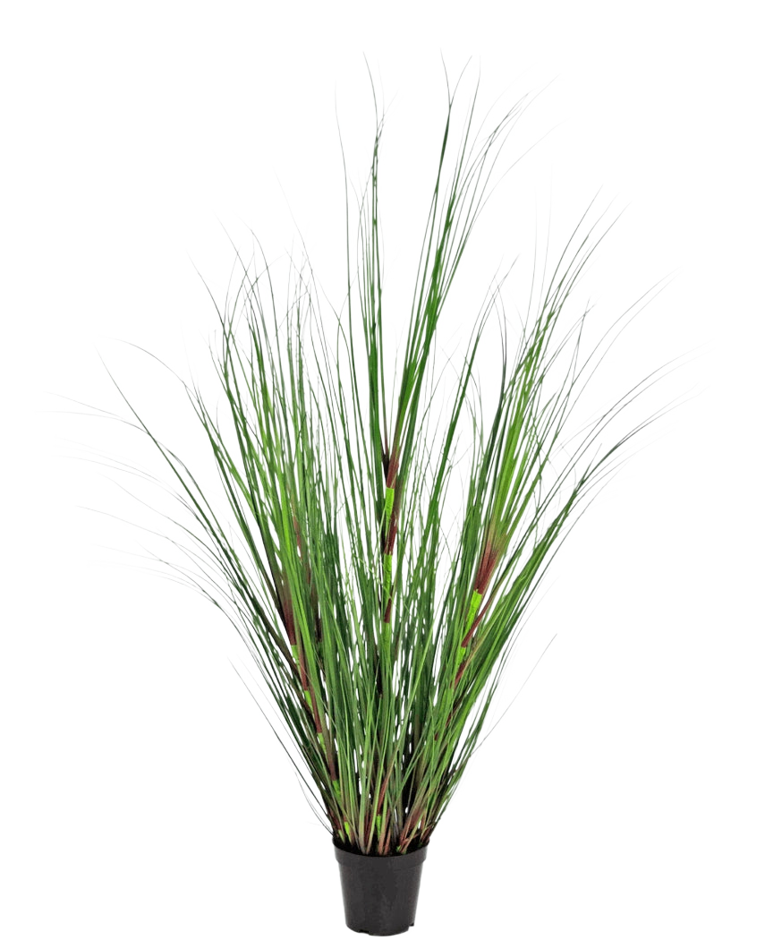 La pianta erba artificiale cipolla 120 cm ignifuga ha lame verdi lunghe e sottili con accenti rosso-marroni, presentate in un vaso su uno sfondo bianco semplice.