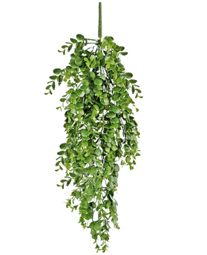 La pianta pensile artificiale Pancake 61 cm ha foglie artificiali di un verde vivace che cadono su uno sfondo bianco e ricorda una vera pianta rampicante.