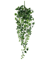 L'edera artificiale verde/bianca da 70 cm è una pianta di edera artificiale pendente con rigogliose foglie a cascata verdi e bianche su lunghi steli, su uno sfondo bianco semplice.