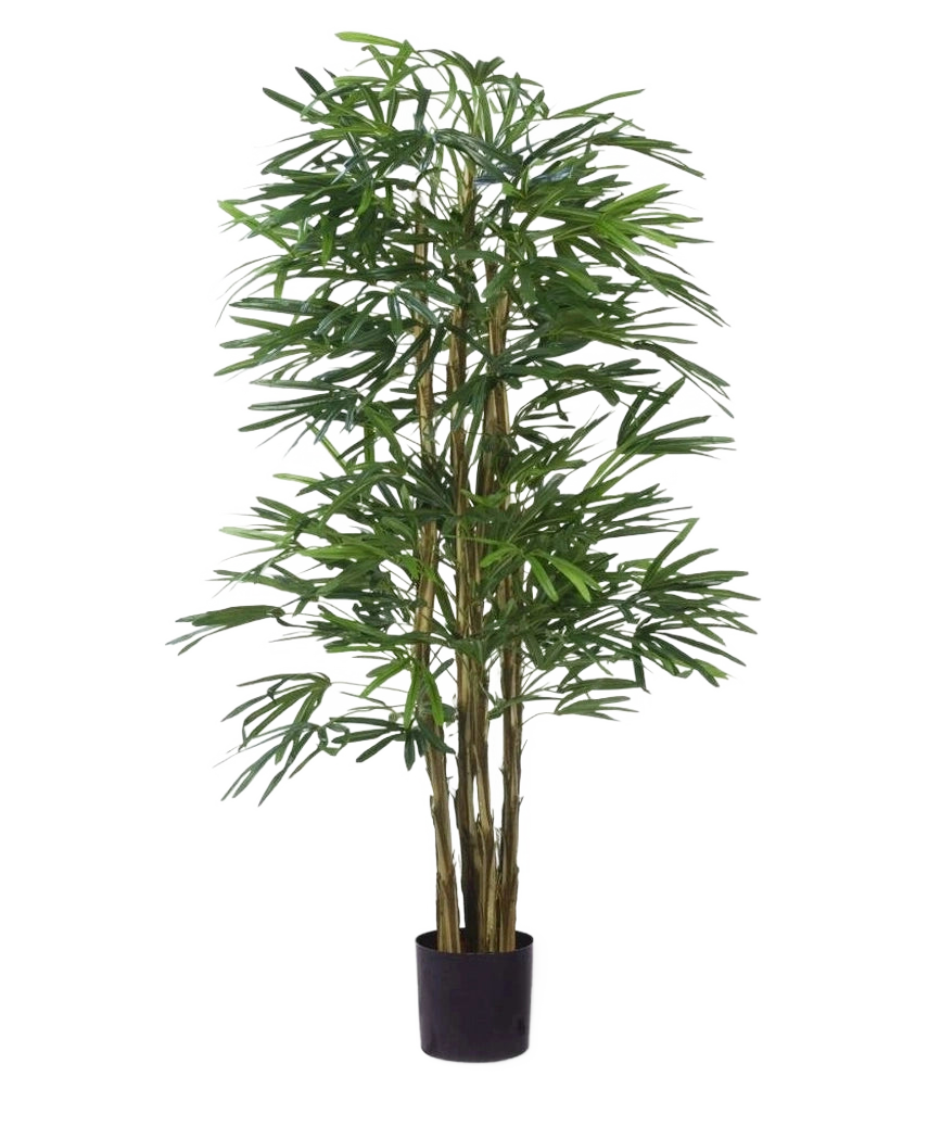 La pianta ignifuga artificiale Lady Palm da 150 cm ha sottili foglie verdi e diversi steli sottili e marroni in un piccolo vaso nero, su uno sfondo bianco semplice.