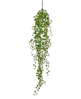 La pianta pensile artificiale Pumila 100 cm ha un lungo tralcio sinuoso con piccole foglie verdi rotonde che pendono da un unico stelo, su uno sfondo bianco semplice.