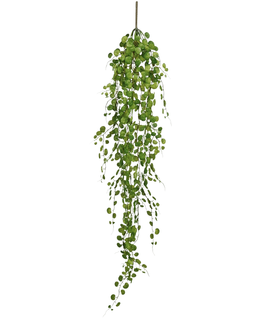 La pianta pensile artificiale Pumila 100 cm ha un lungo tralcio sinuoso con piccole foglie verdi rotonde che pendono da un unico stelo, su uno sfondo bianco semplice.